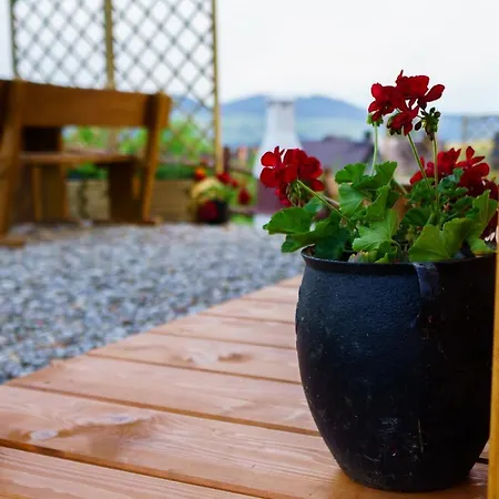 Lodge U Huberta Grywald